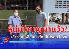 นนทบุรี : คืบหน้า หน่วยงานที่เกี่ยวข้องเร่งช่วยเหลือแมวป่วย “หัดแมว” ตายเกลื่อนในวัด หวั่นตายเพิ่ม